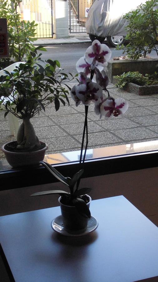 Hotel Elde Riccione Ngoại thất bức ảnh